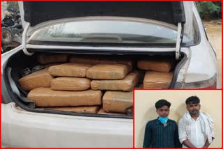 Narcotics cell arrested two smugglers with 203 kg of cannabis