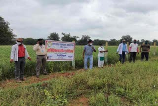 Contractual health workers protest in Raigarh