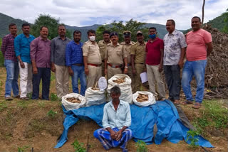 Sale of sandalwood with ganja; Accused arrested