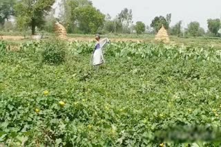 monsoon indifference in gwalior