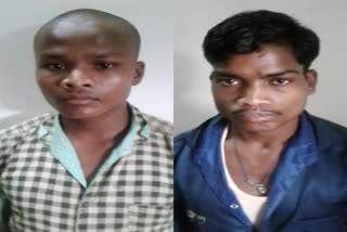 Two Naxalites arrested