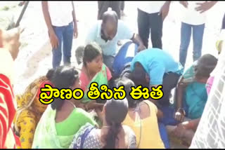 The boy fell into the river and died in nizamabad district