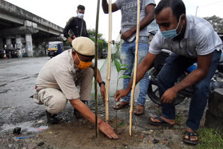 গছপুলি ৰোপন কাৰ্যসূচী