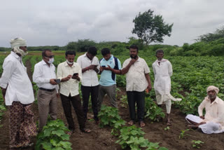 ಬೆಳೆ ಸಮೀಕ್ಷೆಯ ಗೊಂದಲ ನಿವಾರಣೆಗೆ 'ಬೆಳೆ ದರ್ಶಕ'