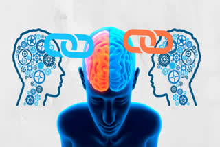 brain , latest brain research by new scientist, uk