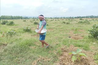 target-of-10-thousand-plantations-in-dalma-forest-area-in-seraikela