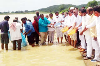 mla madan reddy left fishes  in the rayarao cheruvu