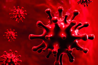 Latest updates on worldwide corona virus cases