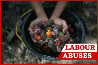 Palm oil labour abuses