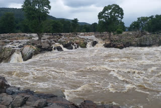 Hogenakkal water level