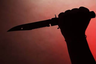 Delhi man kills wife