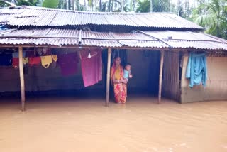 Flood in kampur nagaon assam etv bharat news