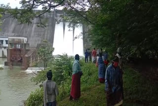 The shutters of Thenmala Parapar Dam were opened'  Thenmala Parapar Dam opened  Thenmala Parapar Dam  തെൻമല പരപ്പാർ അണക്കെട്ടിൻ്റെ ഷട്ടറുകൾ തുറന്നു  തെൻമല പരപ്പാർ അണക്കെട്ട് തുറന്നു