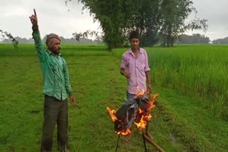 A Farmer Single Protest in Lakhimpur