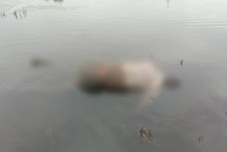 Male body recovered from Amravati river