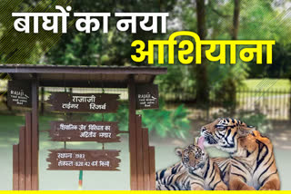 Uttarakhand tiger population