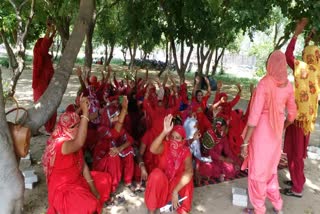 asha workers protest for their demands in nuh