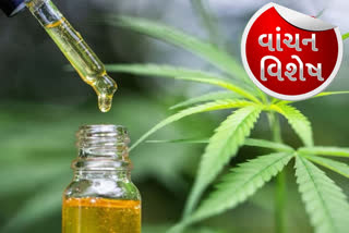 CBD ઓઇલ : સુશાંતસિંહ રાજપૂત ડ્રગ કેસમાં નવો વળાંક