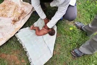 infant rescued by doctor, infant rescued by doctor in Kolar, infant rescued in Kolar, ನವಜಾತ ಶಿಶು ರಕ್ಷಣೆ, ಕೋಲಾರದಲ್ಲಿ ನವಜಾತು ಶಿಶು ರಕ್ಷಣೆ, ಕೋಲಾರದಲ್ಲಿ ವೈದ್ಯರಿಂದ ನವಜಾತು ಶಿಶು ರಕ್ಷಣೆ,