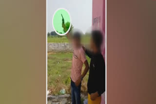 Video of firing from firearm goes viral in greater noida