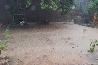 64.1 mm of rainfall was recorded across Guntur district in last 24 hours