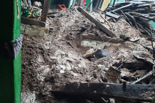mud house collapses to constant rain Cow calf death