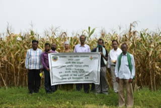 BAU team visited Chanho block