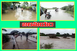 collector veerapandian conduct review meeting on heavy rain in kurnool district