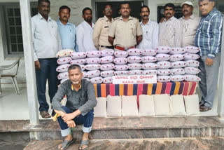 Maharashtra  Ganja peddler arrested