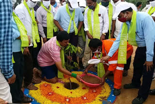 Singareni Finance MD Participated in Haritha Haram And Planted 800 Plants
