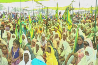 Farmers protest on railway tracks for third day in Mansa against agriculture ordinances