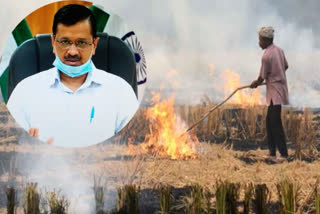 Stubble burning; Kejriwal writes to Javadekar