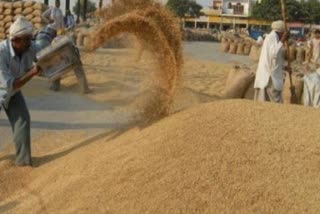 Punjab to start Paddy procurement from Sept 27