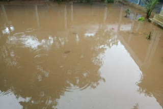 heavy rain in Lingasuguru