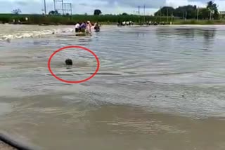 man who jumped into the Ghataprabha river