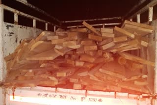 Forest Department seized 115 teak from Sarangarh raigarh