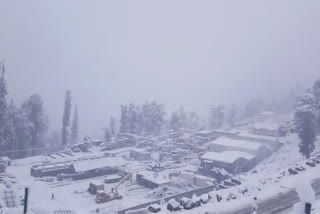 Fresh Snowfall In Kashmir
