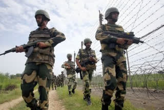 BSF foils infiltration