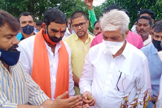 agriculture minister dada bhuse drought inspection visit in hiingoli farmers