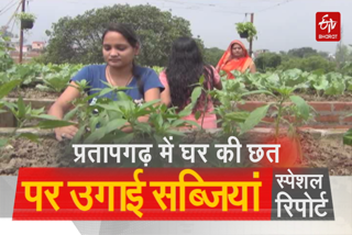 unique way to grow vegetables on the terrace