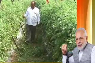 farmers playing major role in aatmanirbhar bharat, says prime minister narendra modi