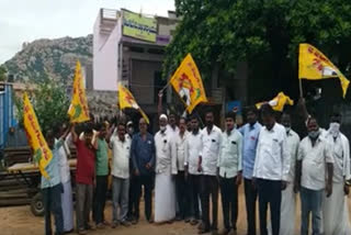 Tdp followers celebrated in rayadurgam town