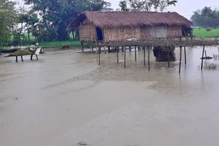Flood in Teok jorhat assam etv bharat news
