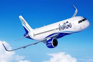 IndiGo flight