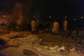 Delhi: Fire breaks out in bushes near Rajghat depot