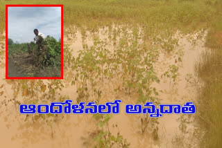 Crop damage with heavy rains