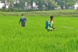 farmers facing problem in balodabazar