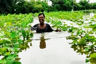 Crop Loss in Surapur Taluk