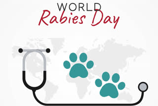 world rabies day 2020, world rabies day theme, symptoms of rabies