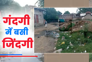 Many lives thrive in this village of Vidisha amid filth